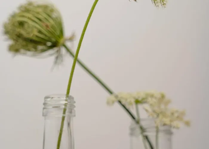 Semesterbostad Azur *